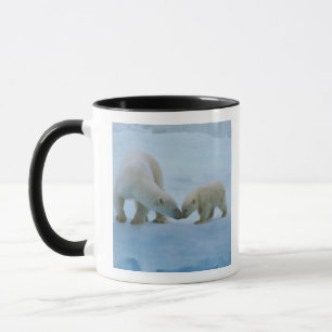 Mug Amérique du Nord, Arctique canadien. Ours polaire