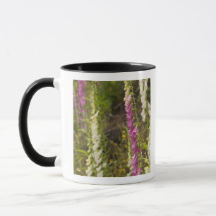 Mug Amérique du Nord, Canada, Îles de la Reine-Charlot
