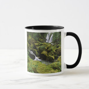 Mug Amérique du Nord, États-Unis, Alaska. Une cascade