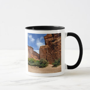 Mug Amérique du Nord, États-Unis, Arizona, Indien Nava