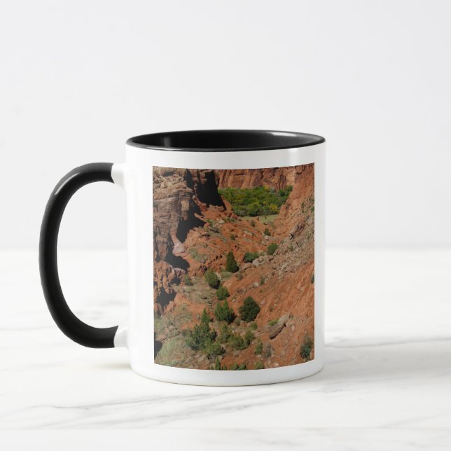 Mug Amérique du Nord, États-Unis, Arizona, Navajo Indi (Gauche)