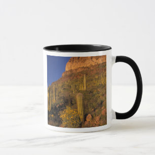 Mug Amérique du Nord, États-Unis, Arizona, Organ Pip