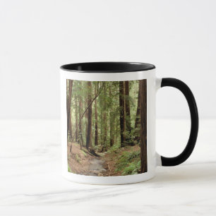 Mug Amérique du Nord, États-Unis, Californie, Big Sur,