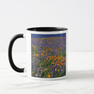 Mug Amérique du Nord, États-Unis, Californie, Los An