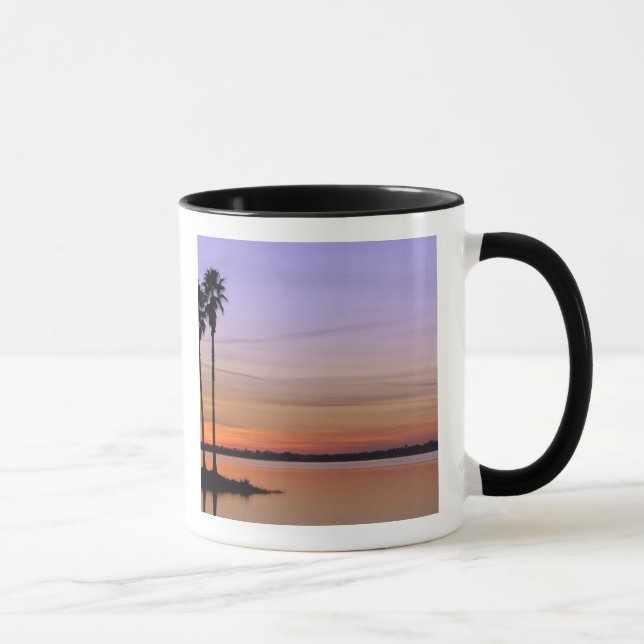 Mug Amérique du Nord, États-Unis, Floride, Mt Dora, un (Droite)