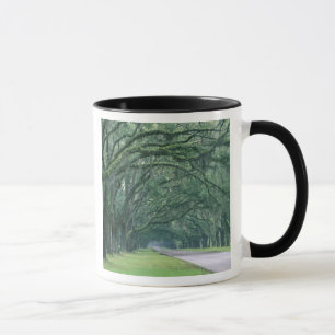 Mug Amérique du Nord, États-Unis, Géorgie, Savannah,