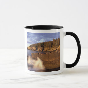 Mug Amérique du Nord, États-Unis, ME, La côte rocheuse