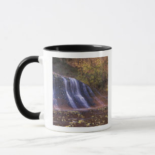 Mug Amérique du Nord, États-Unis, Utah, Zion Nationa