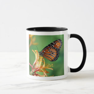 Mug Amérique du Nord, États-Unis, WA, Seattle, Woodlan