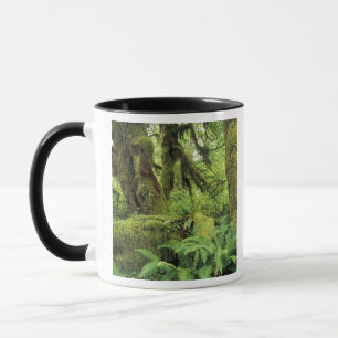 Mug Amérique du Nord, États-Unis, Washington, Olympic 