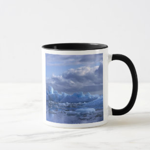 Mug Amérique du Sud, Chili, lagune San Rafael NP.