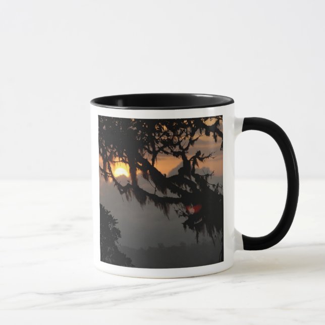 Mug Amérique du Sud, Équateur, scène de forêt nuageuse (Droite)