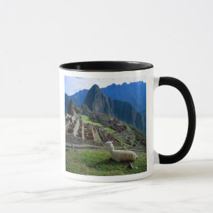 Mug Amérique du Sud, Pérou. Un lama repose sur une col