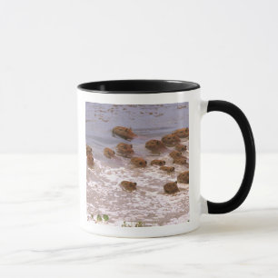 Mug Amérique du Sud, Venezuela, région de Llano.