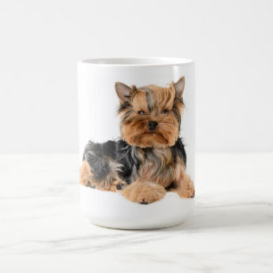 Mug Amour Chien Puppy Yorkshire Terrier - Yorkie