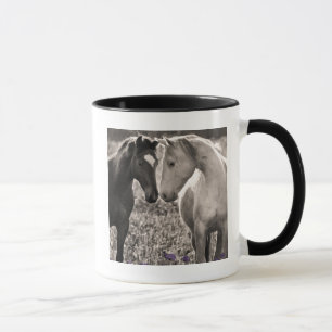 Mug Amour de cheval