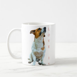 Mug Amoureux des chiens