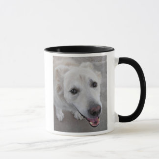 Mug Amours de CHIEN de sourire vous