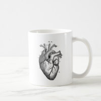 Anatomie-Coeur-Image-Cru