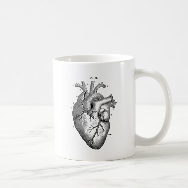 Mug Anatomie-Coeur-Image-Cru (Droite)