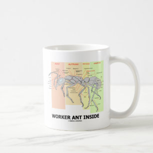Mug Anatomie de la fourmi ouvrière (Ant Anatomy)