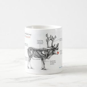 Mug Anatomie des illustrations pleines d'esprit de
