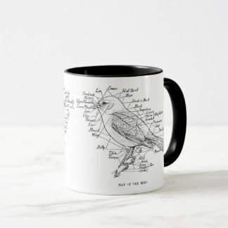 Mug anatomie des oiseaux