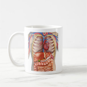 Mug Anatomie des organes internes Fuzzy Express®
