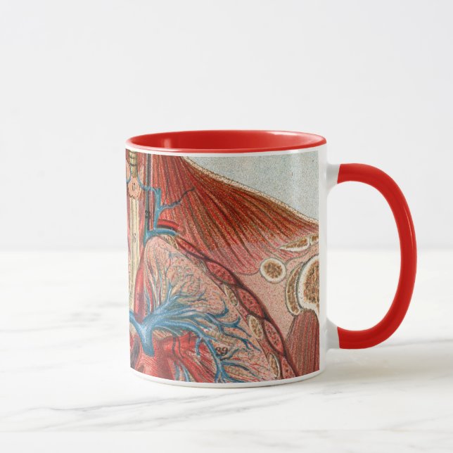 Mug Anatomie du corps humain (Droite)