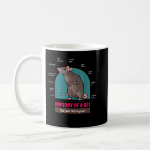 Mug Anatomie D'Un Rat Rattus Rats Norvegious 