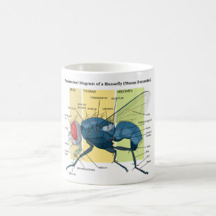 Mug Anatomie d'une mouche domestique de diagramme de