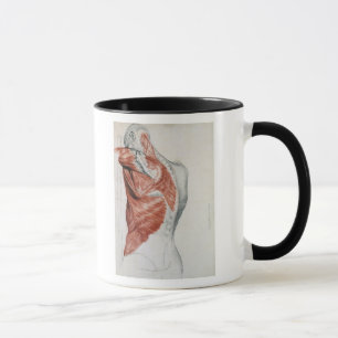Mug Anatomie humaine ; Muscles du torse et de l'épaule