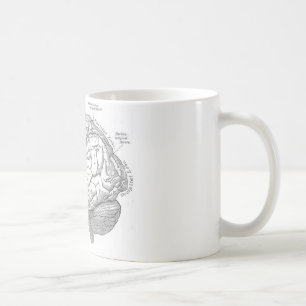 Mug Anatomie vintage de cerveau
