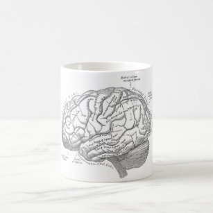 Mug Anatomie vintage de cerveau