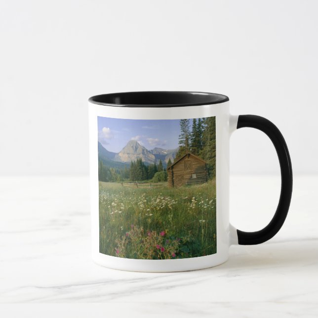 Mug ancienne cabane du Service des parcs dans la vallé (Droite)