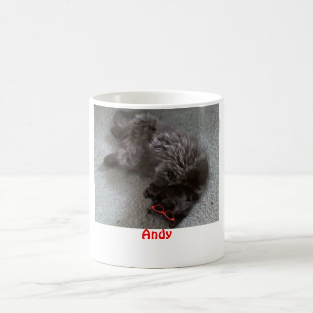 Mug Andy le chat persan (Centre)
