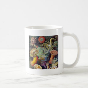 Mug Anémone de mer Nature scientifique Océan