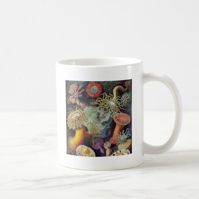 Mug Anémone de mer Nature scientifique Océan (Droite)