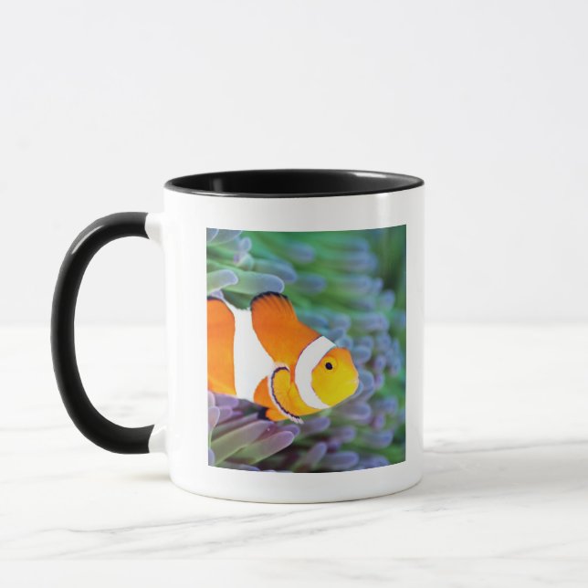 Mug Anemonefish de clown (Gauche)