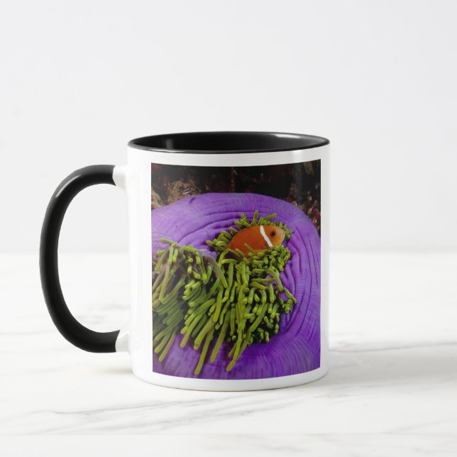 Mug Anemonefish et grande anémone (Gauche)