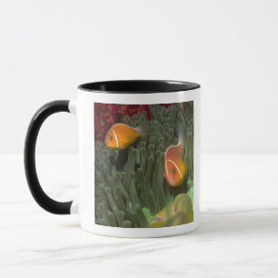 Mug Anemonefish rose dans l'actinie de Magnificant