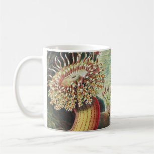 Mug Anémones de mer, Actiniae Seeanemonen Ernst Haecke