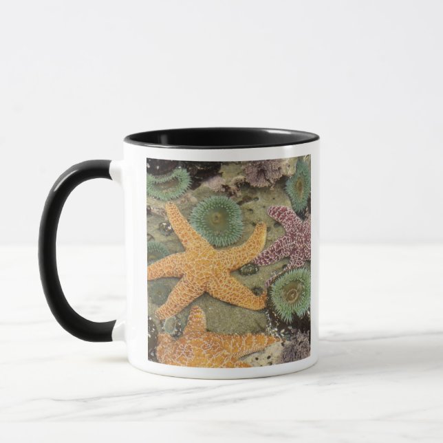 Mug Anémones géantes vertes et étoiles de mer ocres (Gauche)