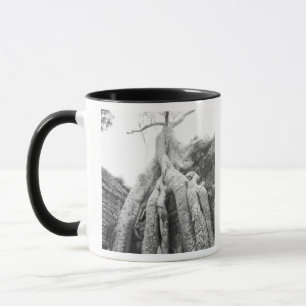Mug Angkor Cambodge, Arbre Ta Prohm