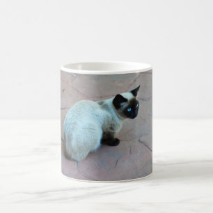 Mug animal chaton siamois