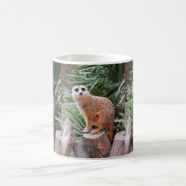 Mug animal de Meerkats (Centre)