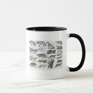 Mug Animaux carnivores