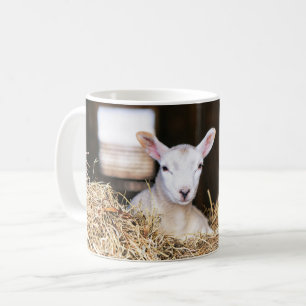 Mug Animaux de bébés cutest   Agneau nouveau-né