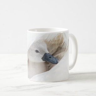 Mug Animaux de bébés cutest Bébé Mute Swan
