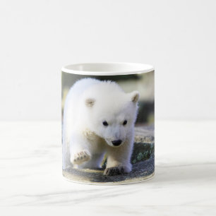 Mug Animaux de bébés cutest Bébé Ours Polaire Cub